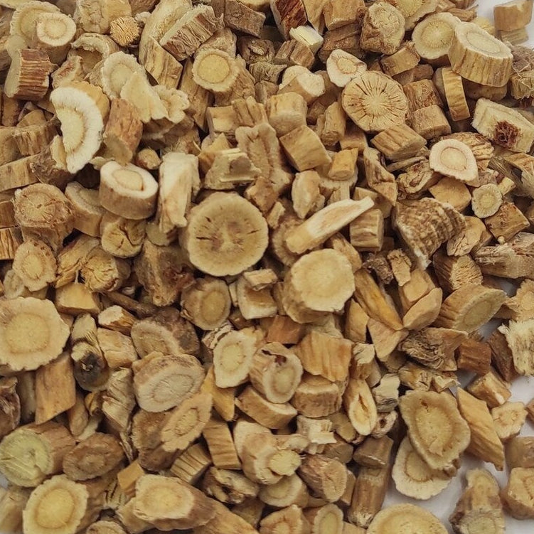 Astragalus Root