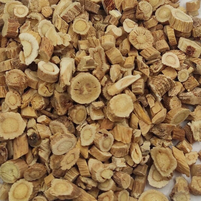 Astragalus Root The Mercantile Apothecary