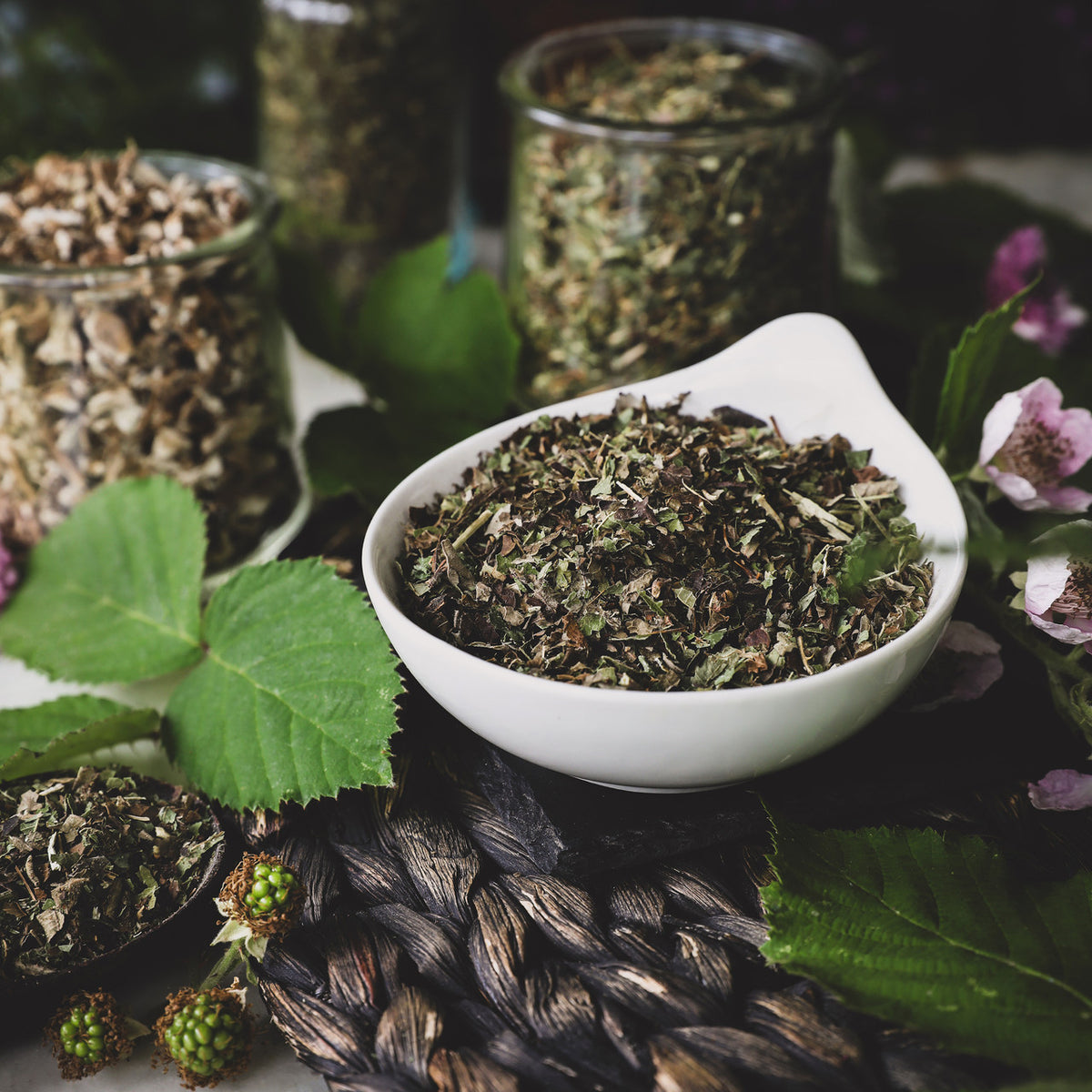 Blackberry Leaf The Mercantile Apothecary