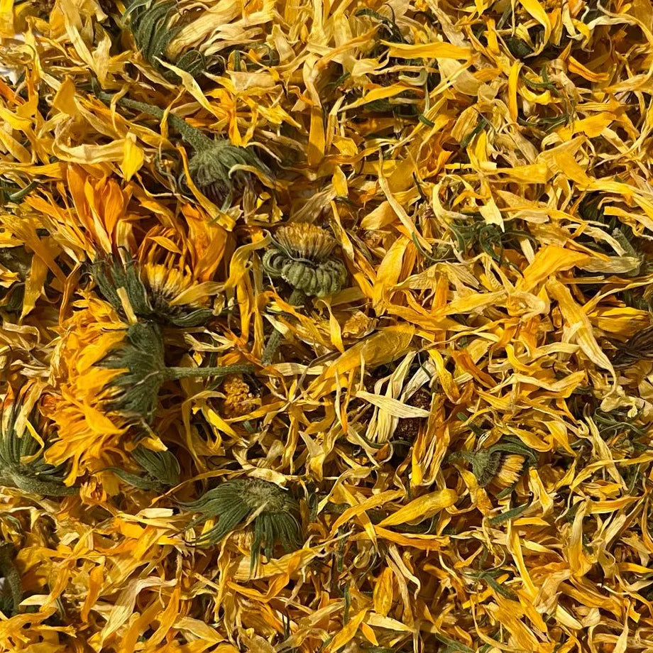 Calendula Flower (Whole) The Mercantile Apothecary