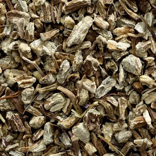 Echinacea angustifolia Root