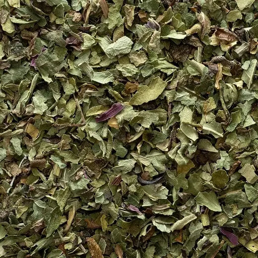 Echinacea purpurea Herb