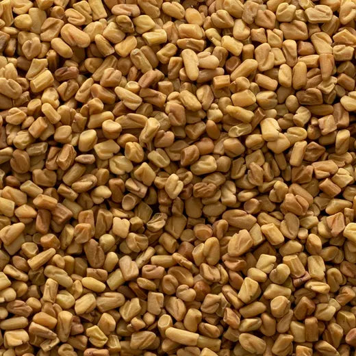 Fenugreek Seed