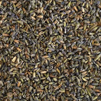 Lavender Flower (Buds)