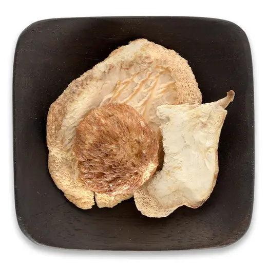 Lion’s Mane Mushroom Frontier Co-op