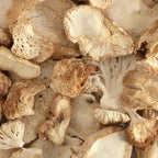 Lion’s Mane Mushroom