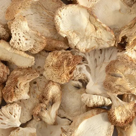 Lion’s Mane Mushroom Frontier Co-op