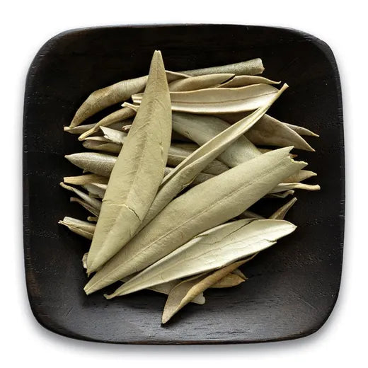 Olive Leaf Frontier Co-op