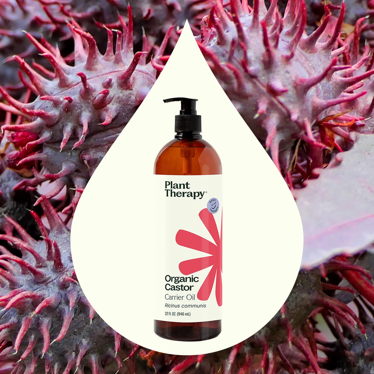 Organic Castor Carrier Oil Plant Therapy
