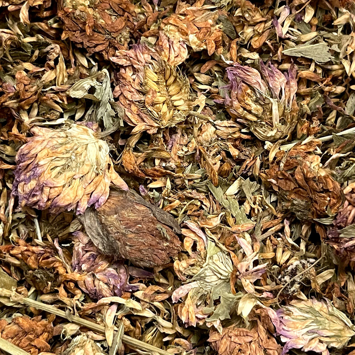 Red Clover Flower Mountain Rose Herbs