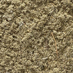Sage Rubbed Leaf