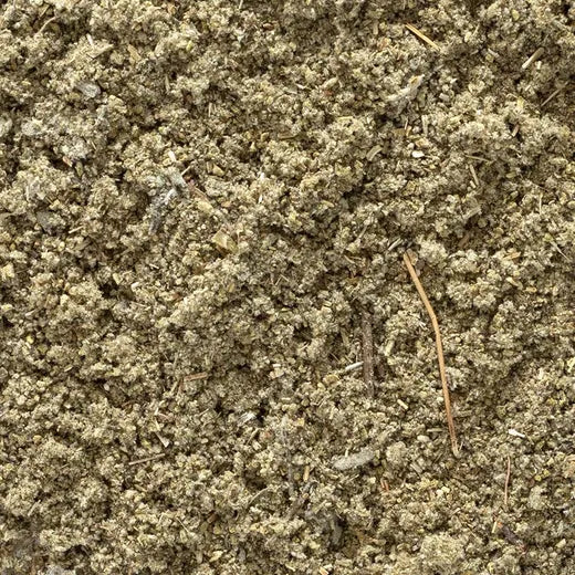 Sage Rubbed Leaf Frontier Co-op