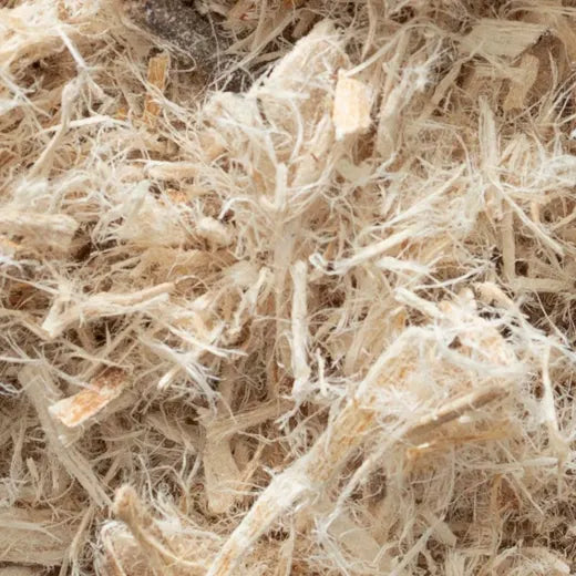 Slippery Elm Inner Bark