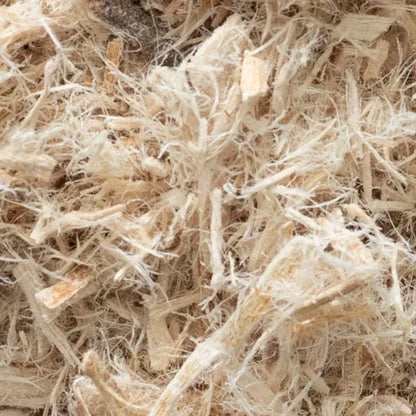 Slippery Elm Inner Bark Frontier Co-op
