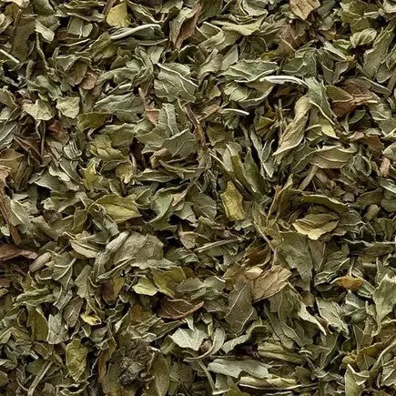 Spearmint Leaf