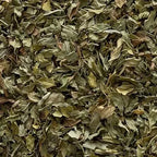 Spearmint Leaf