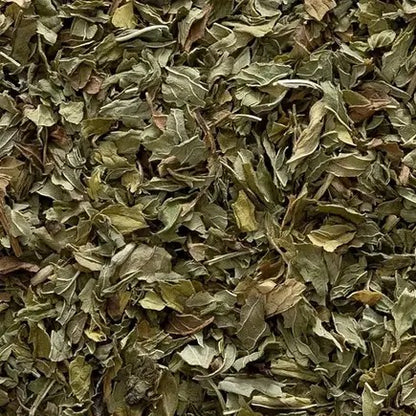 Spearmint Leaf Frontier Co-op