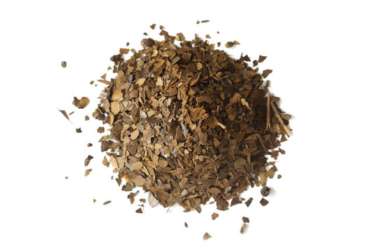 Yaupon Dark Roast Tea Mountain Rose Herbs